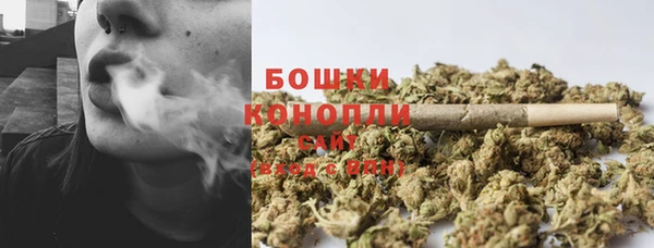 прущие крисы Надым