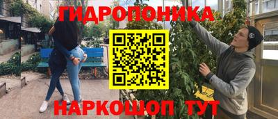 ешки Гатчина