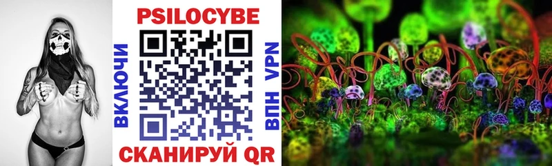 Галлюциногенные грибы Psilocybine cubensis  хочу наркоту  дарк нет как зайти  Каспийск 
