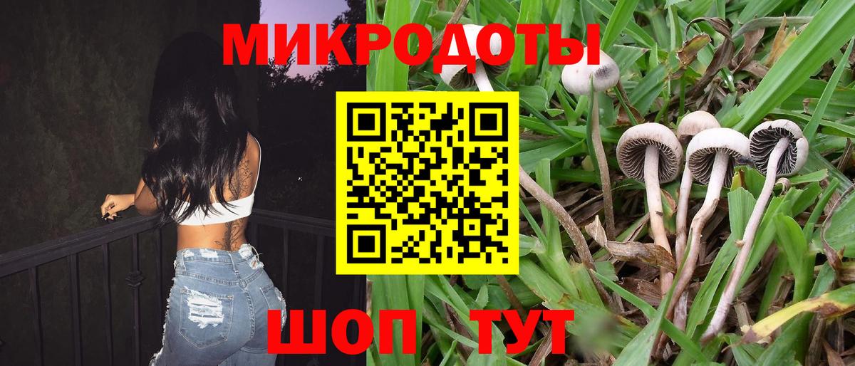 Псилоцибиновые грибы прущие грибы Каспийск