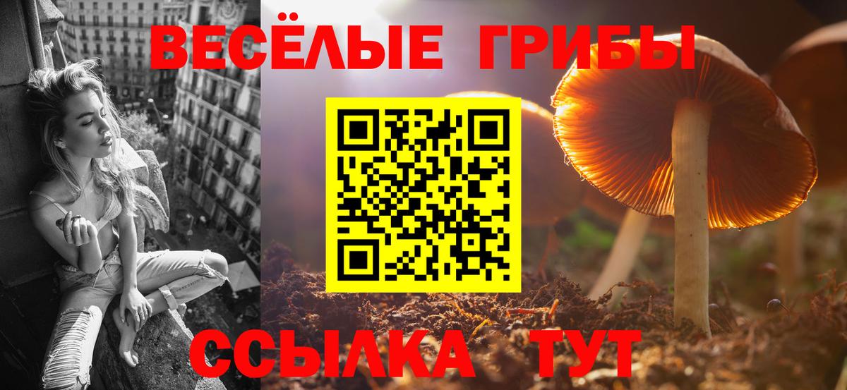 Каспийск  Галлюциногенные грибы Cubensis  Псилоцибиновые грибы Magic Shrooms  Вход с VPN 